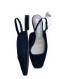 Shoes Flats By Antonio Melani In Black & Tan, Size: 9.5 Online