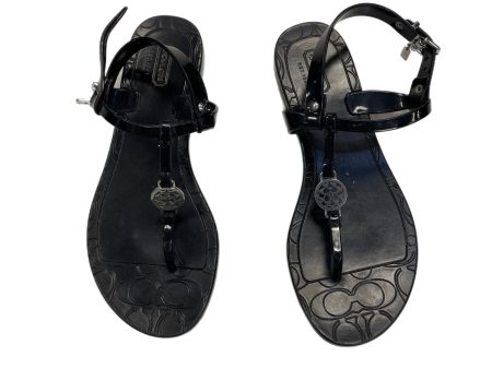 Sandals Flip Flops By Coach  Size: 6 Online Hot Sale