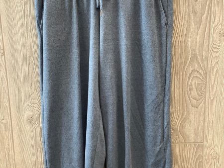 Athletic Capris By Time And Tru In Blue, Size: Xxl For Sale