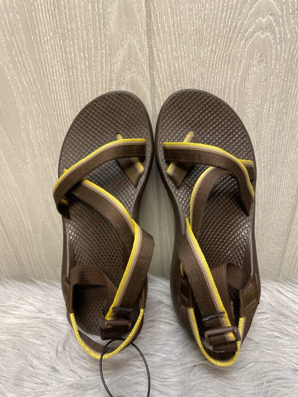 Sandals Sport By Chacos In Brown & Yellow, Size: 8 Online Hot Sale