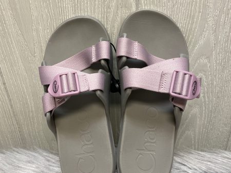 Sandals Sport By Chacos In Grey & Purple, Size: 7 Online Hot Sale